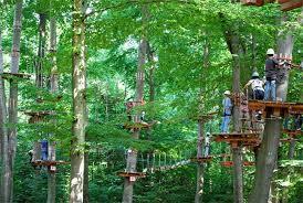 Parco Avventura Adrenalina Verde